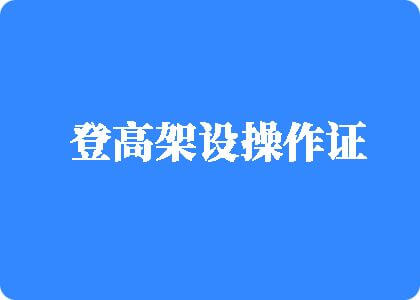 操逼逼污污登高架设操作证